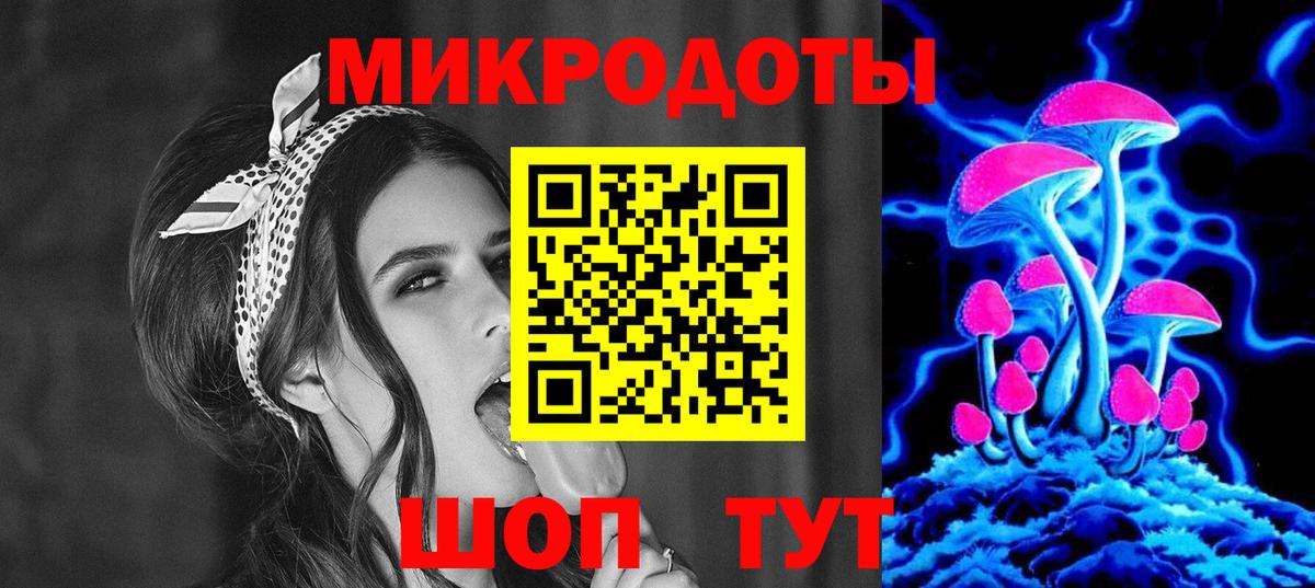 Галлюциногенные грибы Psilocybe Каменск-Уральский