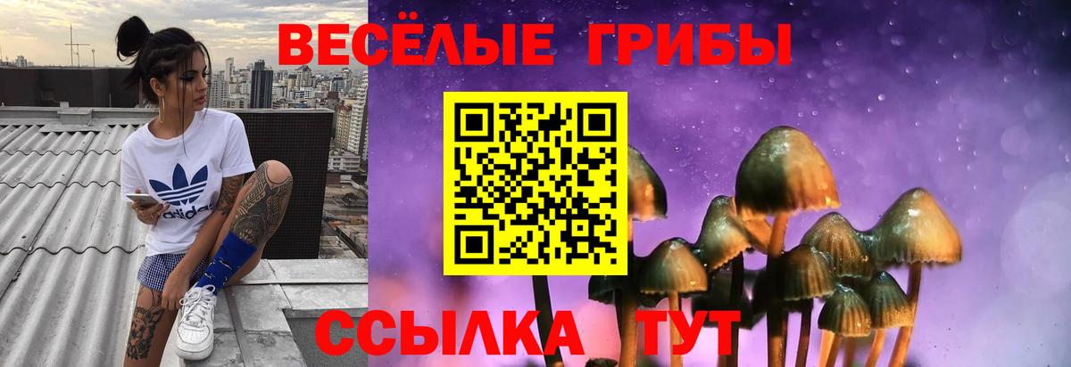 Галлюциногенные грибы мухоморы  где продают наркотики  Каменск-Уральский  Вход с VPN 
